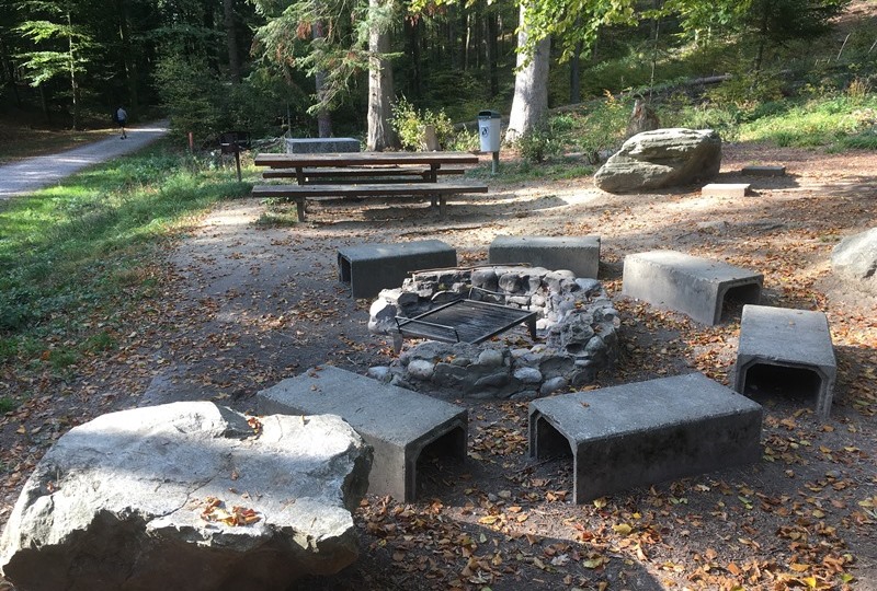 Bräteln im Ostermundigenwald